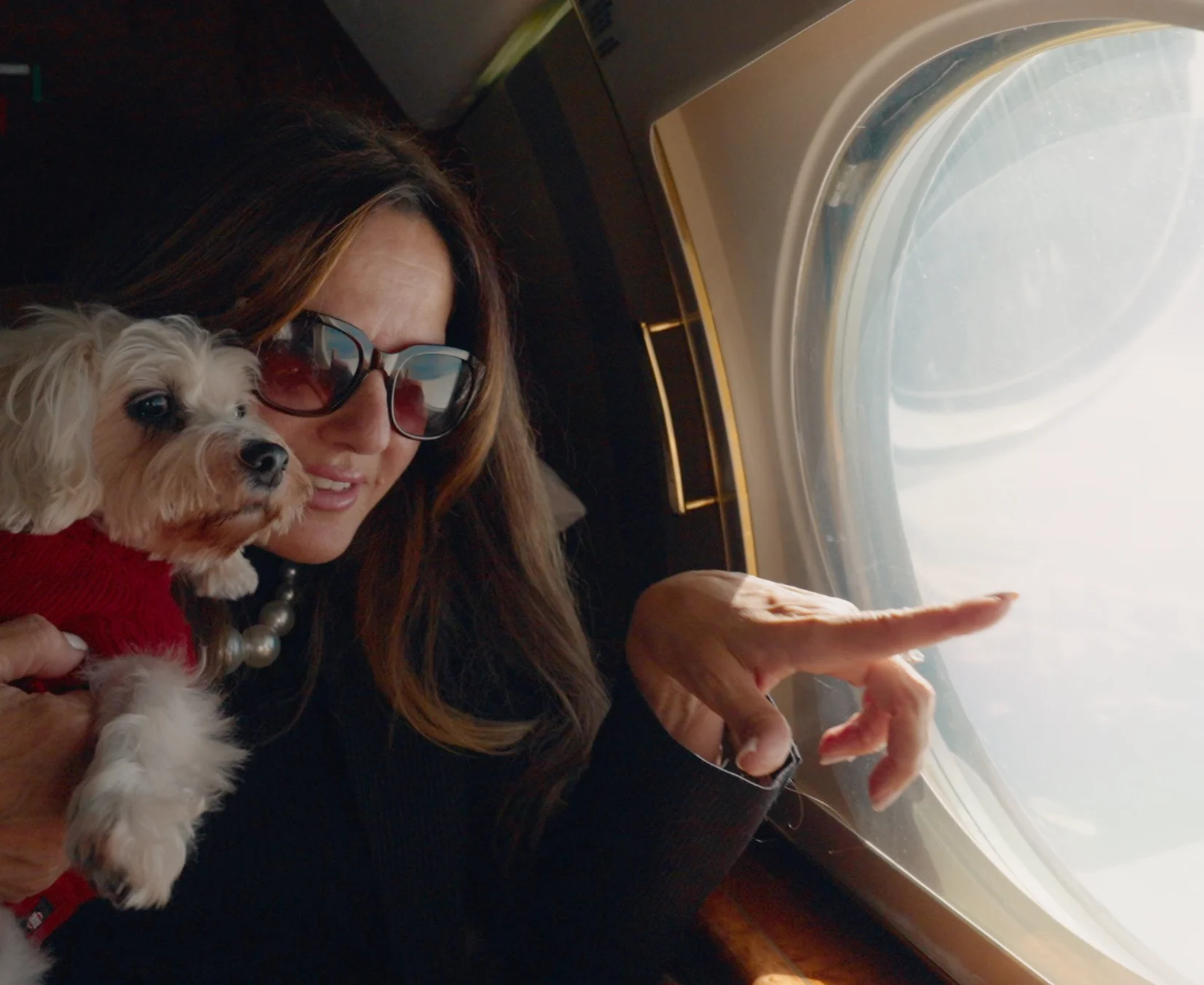 safe-in-cabin-pet-travel