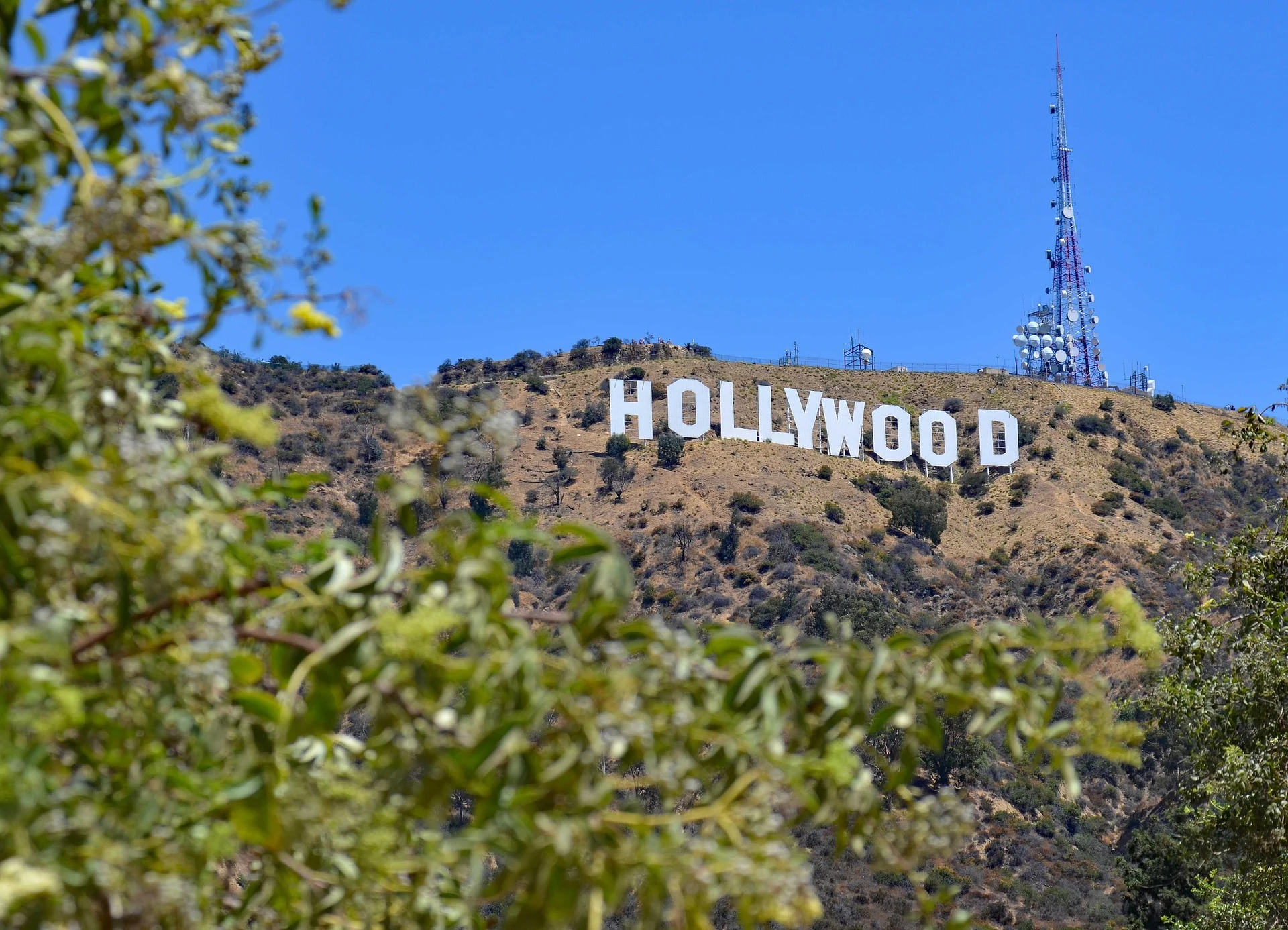 los-angeles-hollywood-sign Hillside view of the 'HOLLYWOOD' sign in Los Angeles
