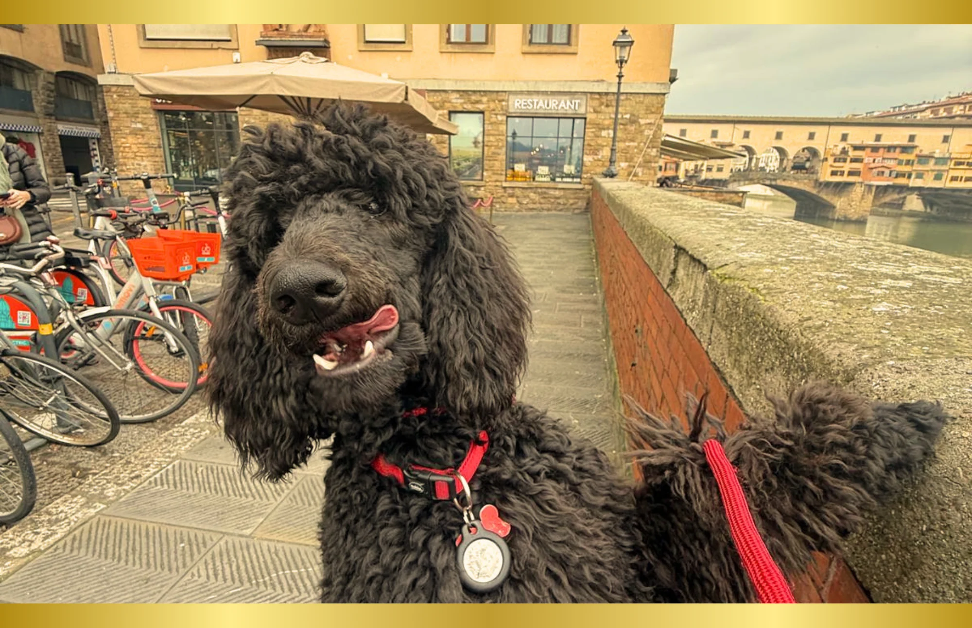 official dimensions for thair blog photo