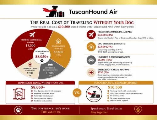 Why a $10,500 Shared Charter Flight to Italy with Your Pet Is Actually Smarter Than Paying for Boarding