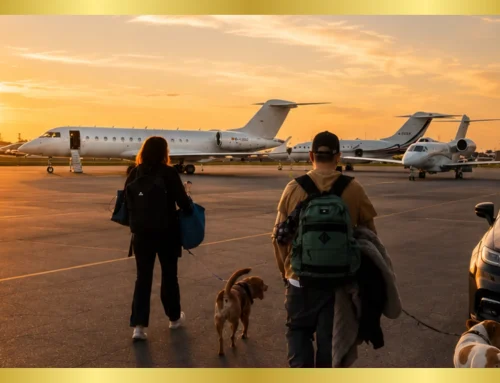 What It’s Really Like to Fly with Your Dog from the USA to Italy (Shared Charter Experience Explained)